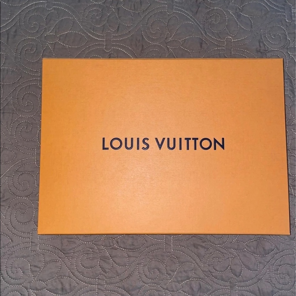 Authentic Louis Vuitton Stencil Effect Monogram Shorts